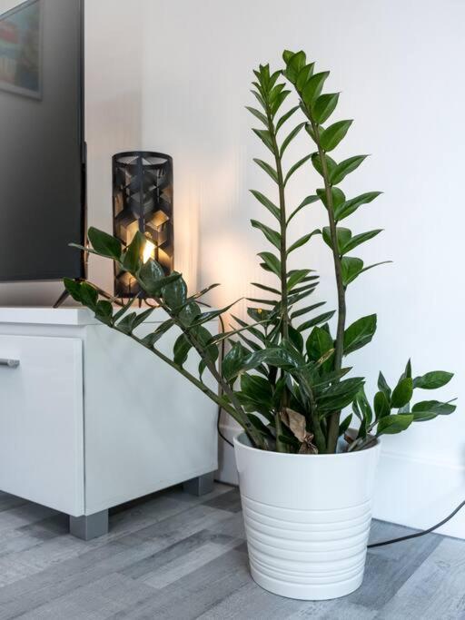 Logement Le Serein Toulon Bagian luar foto